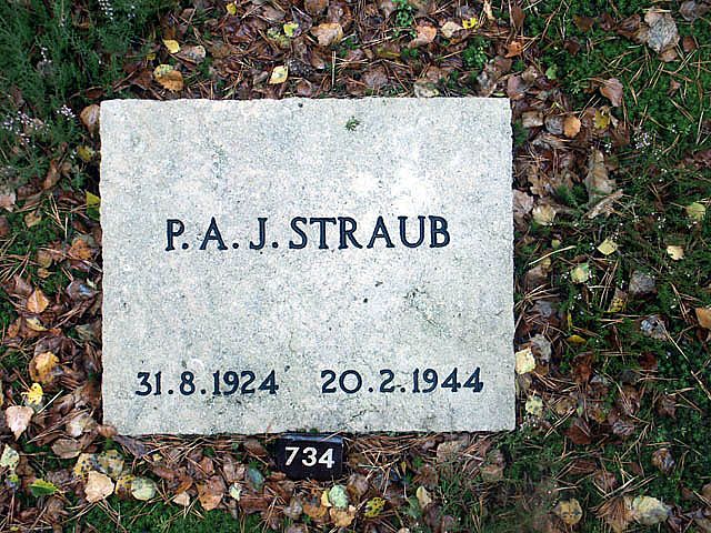 straub.p.a.j.2005.jpg