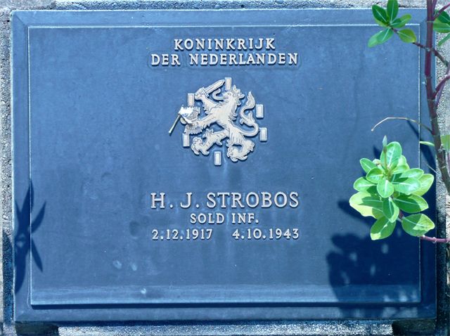 Strobos.H.J.2008.jpg