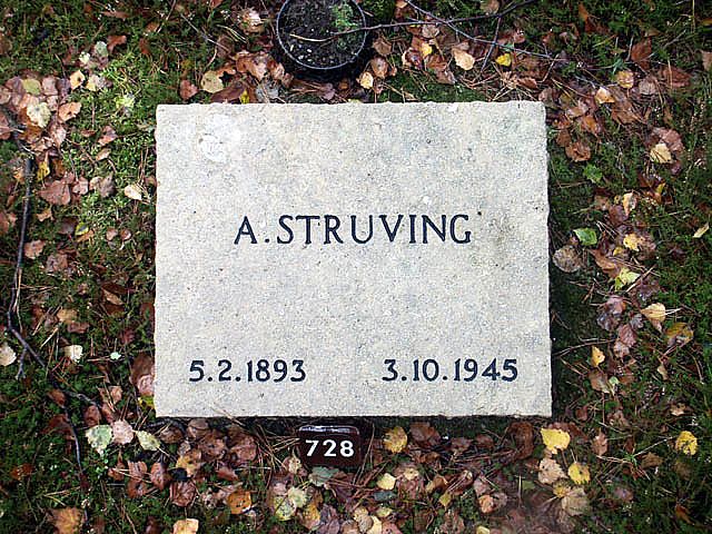 struving.a.2005.jpg