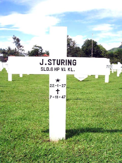 sturing.j.2005.jpg