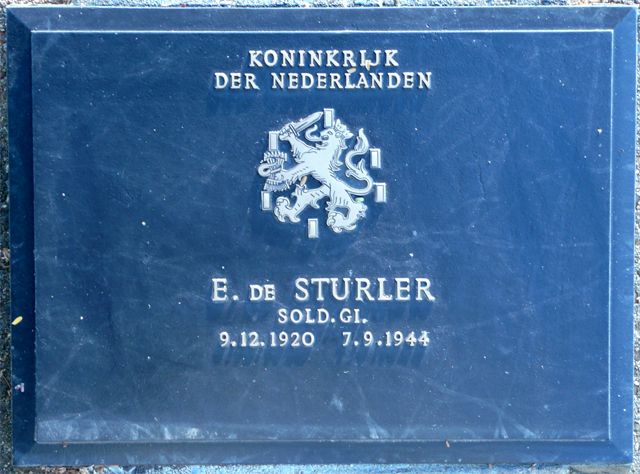 Sturler.E.de.2008.jpg