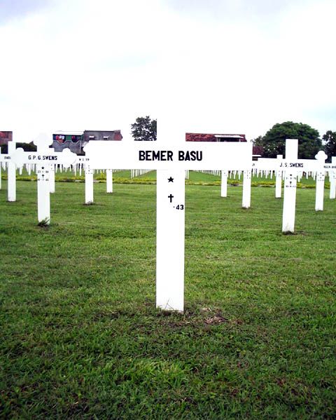 bemer basu.2005.jpg