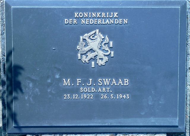 Swaab.M.F.J.2008.jpg