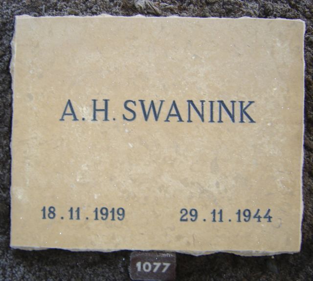 swanink.a.h.2008.jpg