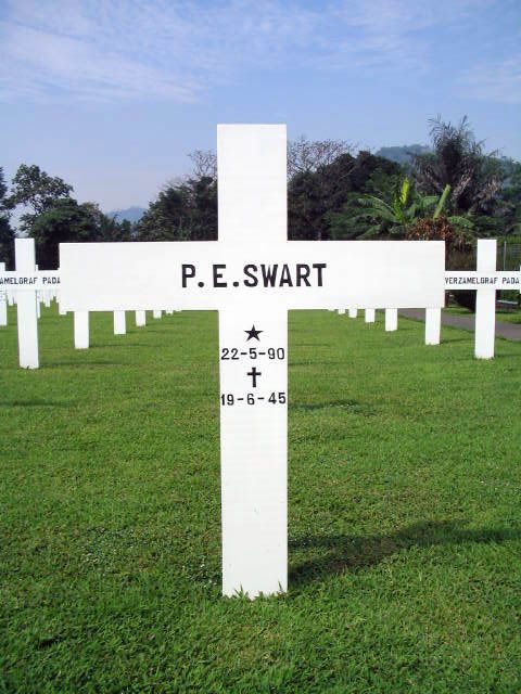 swart.p.e.2005.jpg