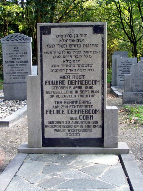 Denneboom E.2004.jpg