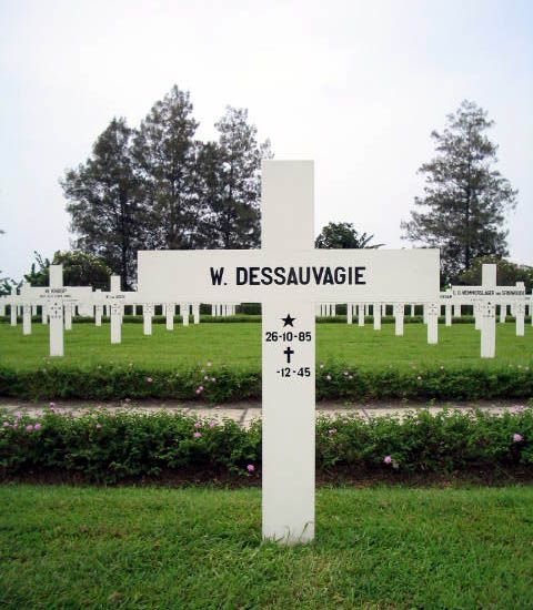 dessauvagie w.jpg