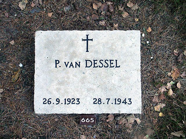 dessel.van.p.2005.jpg