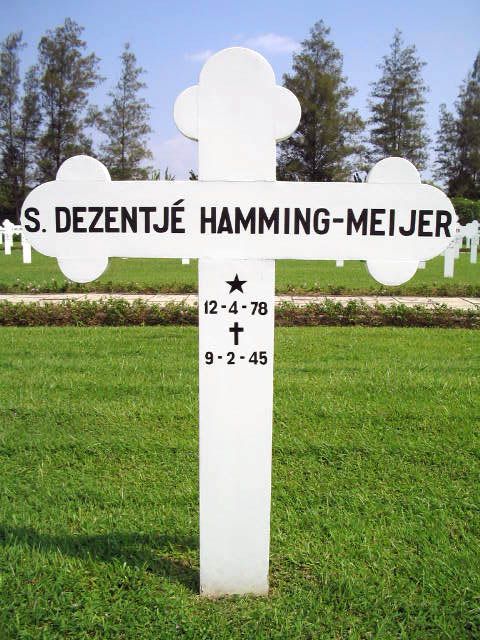 dezentje hamming meijer.s.2004.jpg
