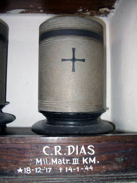 dias.c.r.2005.jpg