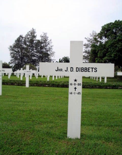 dibbets j.d.jpg