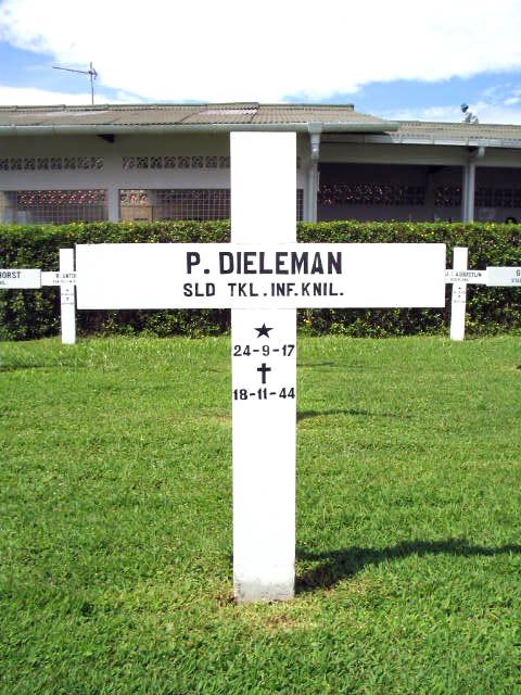 dieleman.p.2005.jpg