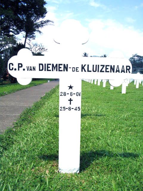 diemen.van.kluizenaar.de.c.p.2005.jpg