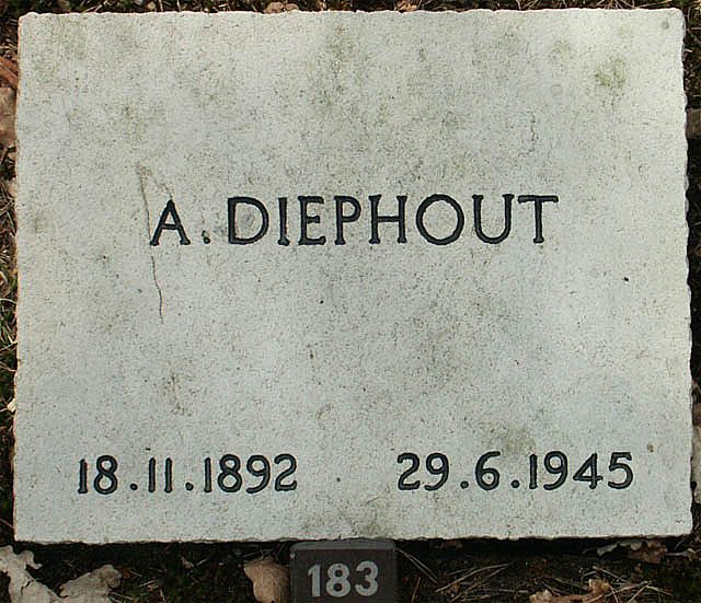 diephout.a.2006(5).jpg