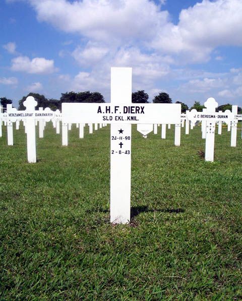 dierx.a.h.f.2005.jpg