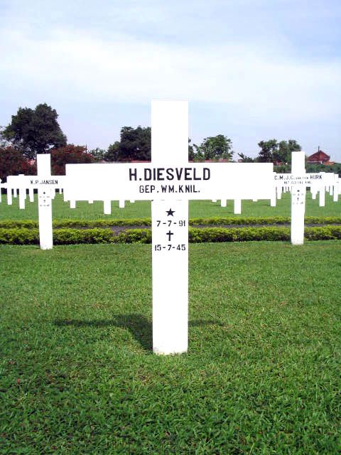 diesveld.h.2005.jpg