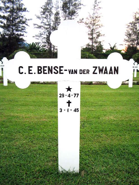 bense zwaan v der.c.e.2004.jpg