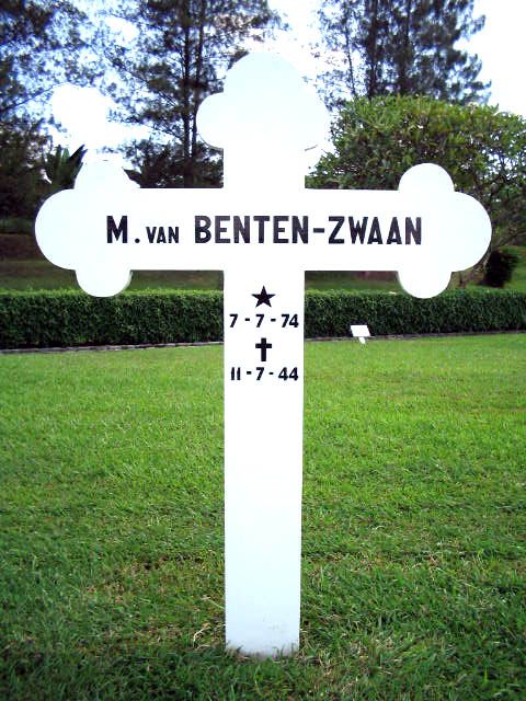 benten zwaan.van m.2004.jpg