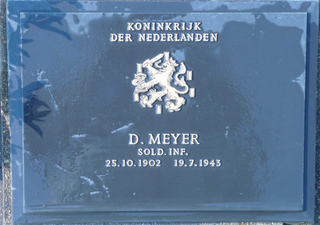 Meyer.D.2008.jpg