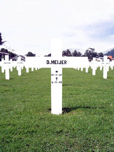 meijer.d.2005.jpg