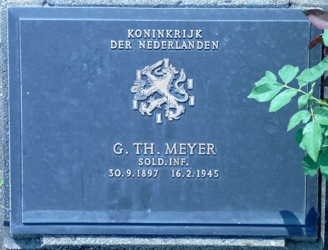 Meyer.G.T.2008.jpg
