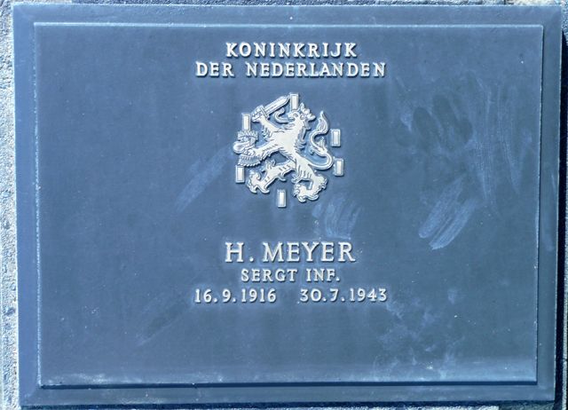 Meyer.H.2008.jpg