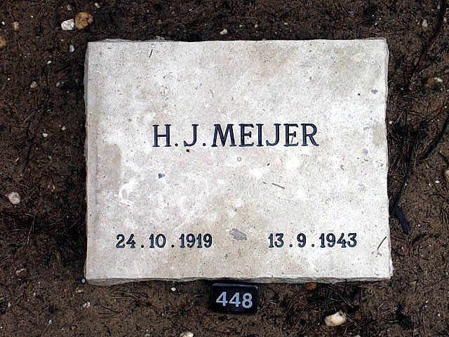 meijer.h.j.2006.jpg