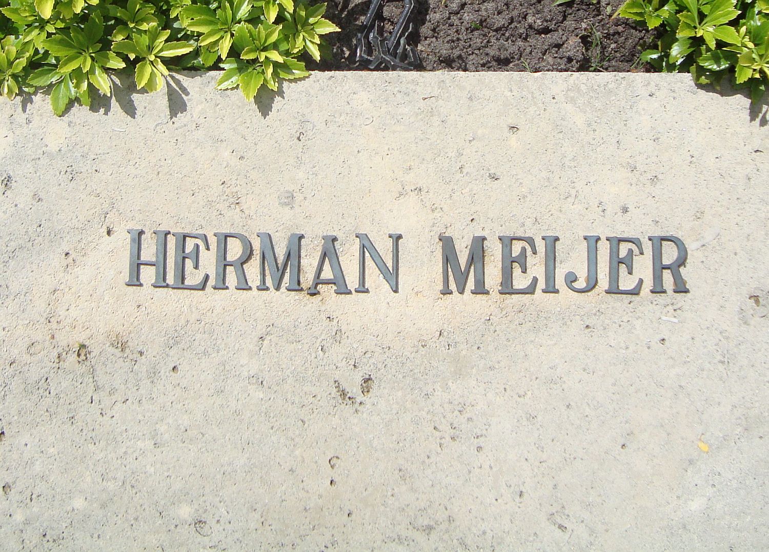 meijer.h..jpg