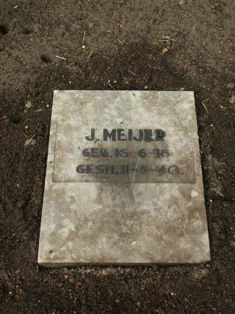 Meijer J .jpg