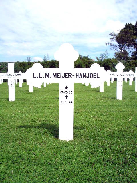 meijer.hanjoel.l.l.m.2005.jpg
