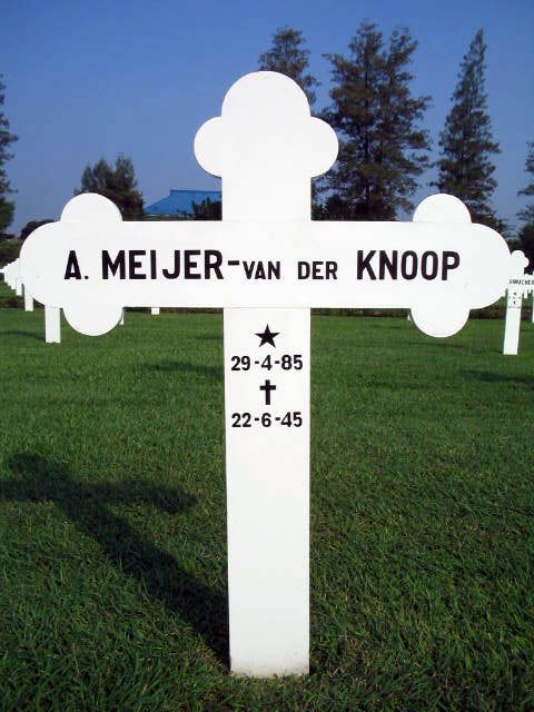 meijer v der knoop a.2004.jpg