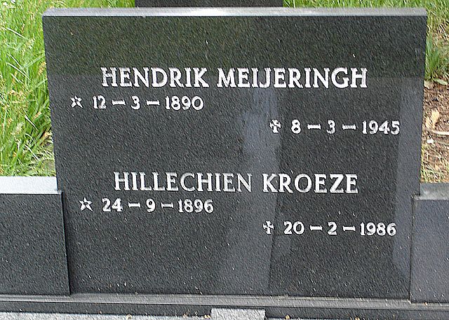 MeijeringH.2005.jpg
