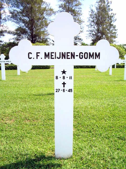 meijnen gomm.c.f.2004.jpg