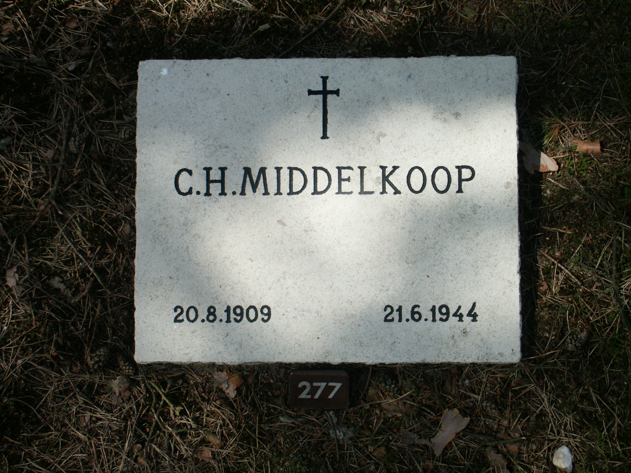 ingeverfde stenen vak A 025.jpg