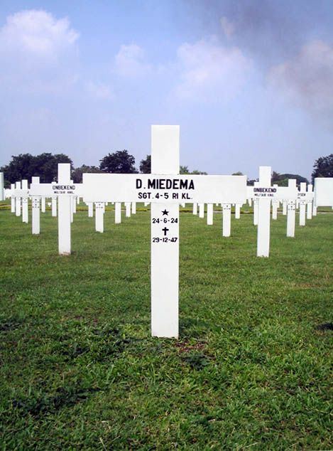 miedema.d.2005.jpg