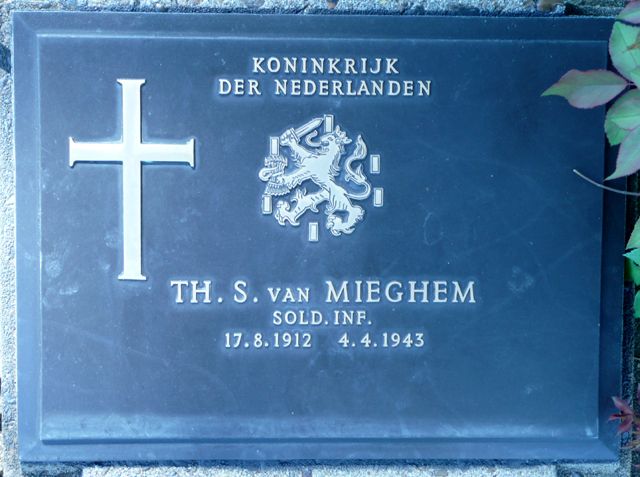 Mieghem.T.S.van.2008.jpg