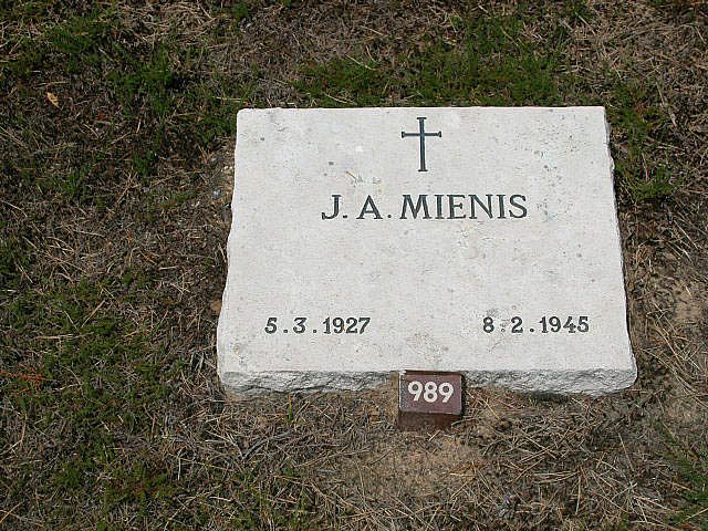 J.A.Mienis.jpg