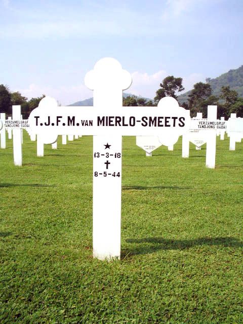 mierlo.van.smeets.t.j.f.m.2005.jpg