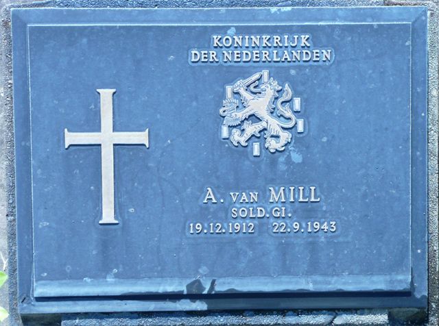 Mill.A.van.2008.jpg