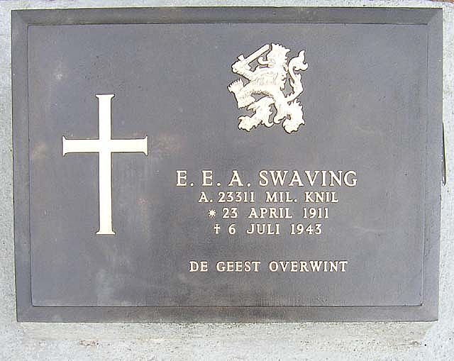 Swaving.E.E.A.2007.jpg