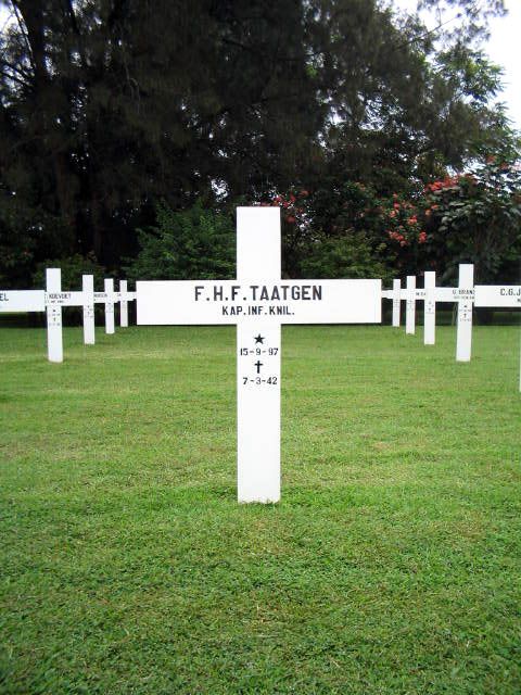 taatgen.f.h.f.2005.jpg