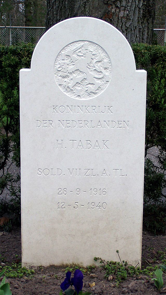 tabak.h.jpg