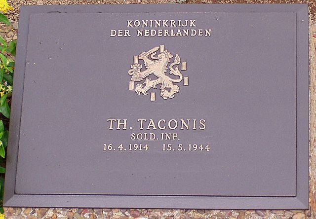 taconis.t.2006.jpg