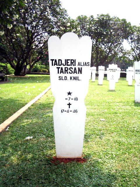 tadjeri alias tarsan.2005.jpg