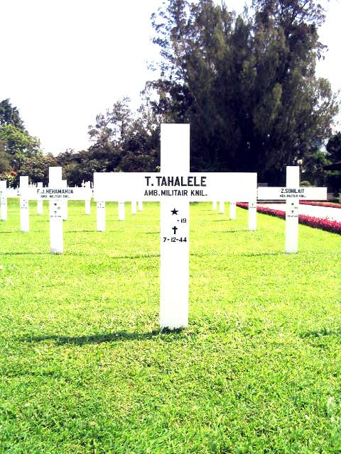 tahalele.t.2005.jpg