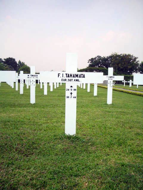 tahamata.f.i.2005.jpg