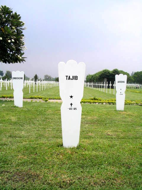 tajib.2005.jpg