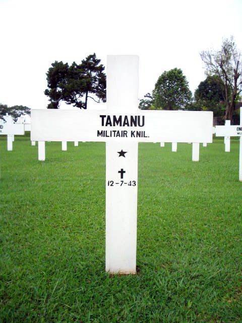 tamanu.2005.jpg