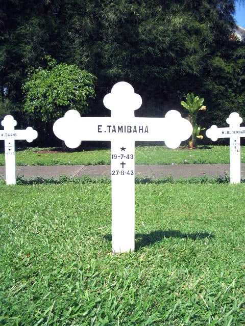 tamibaha.e.2005.jpg