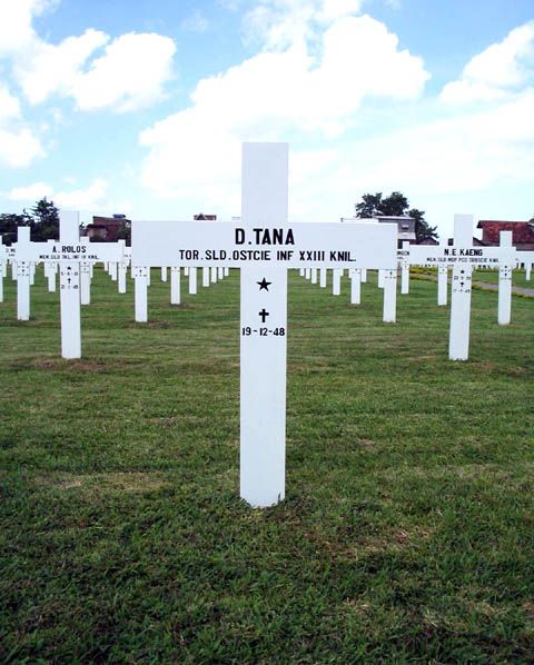 tana.d.2005.jpg
